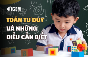 Toán Tư Duy Là Gì Mà Ngày Càng Nhiều Phụ Huynh Cho Con Học?